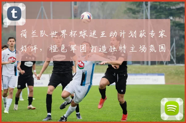 荷兰队世界杯球迷互动计划获专家好评，橙色军团打造独特主场氛围